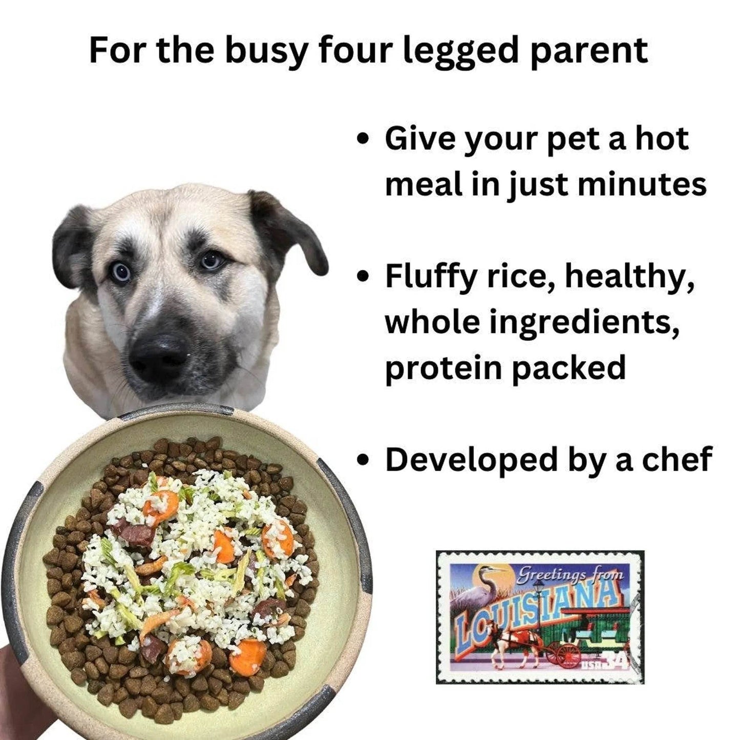 Creole Style Gumbo - Beasty Lux