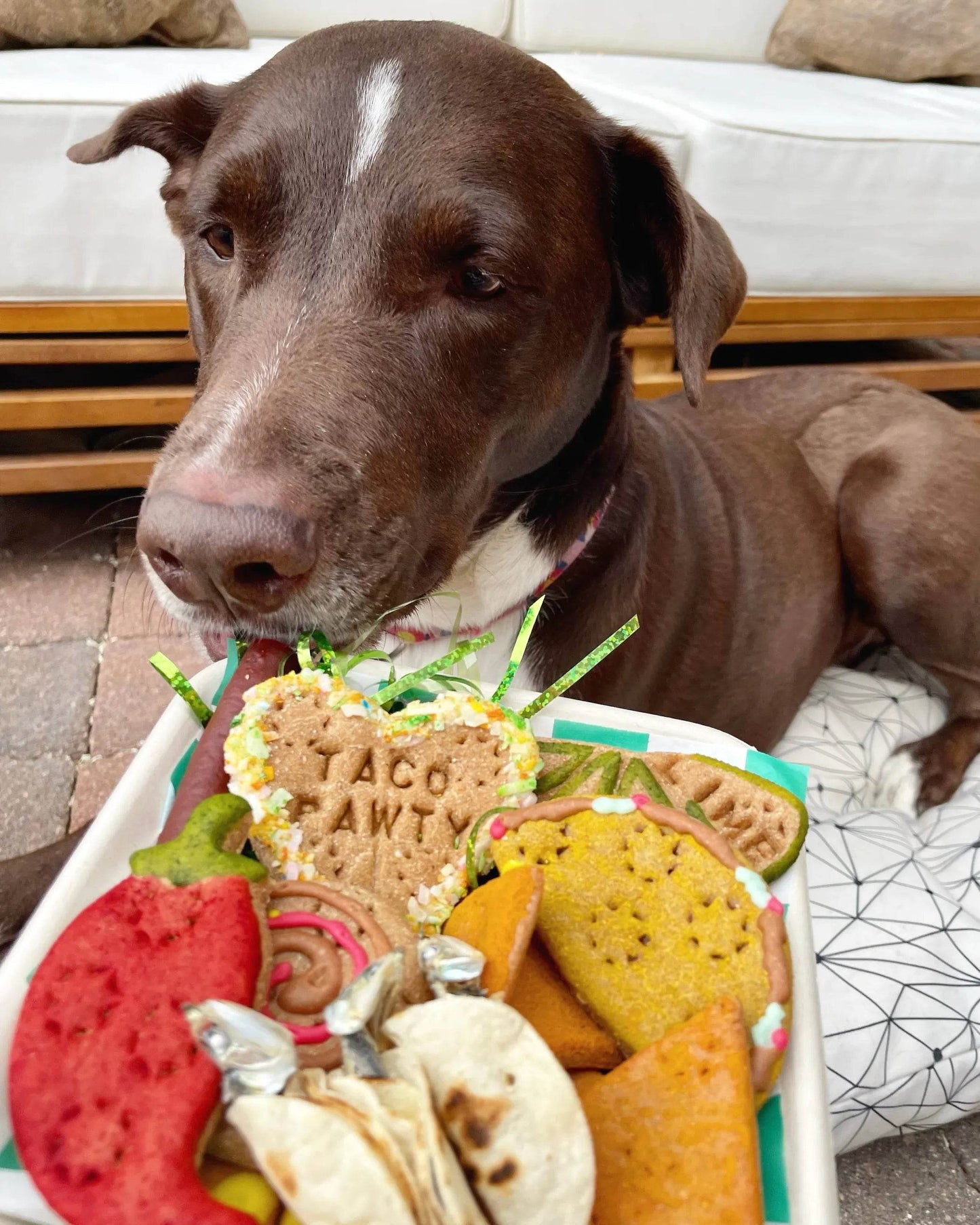 Food Hall - Food Trays Inspired by Global Cuisine - Beasty Lux
