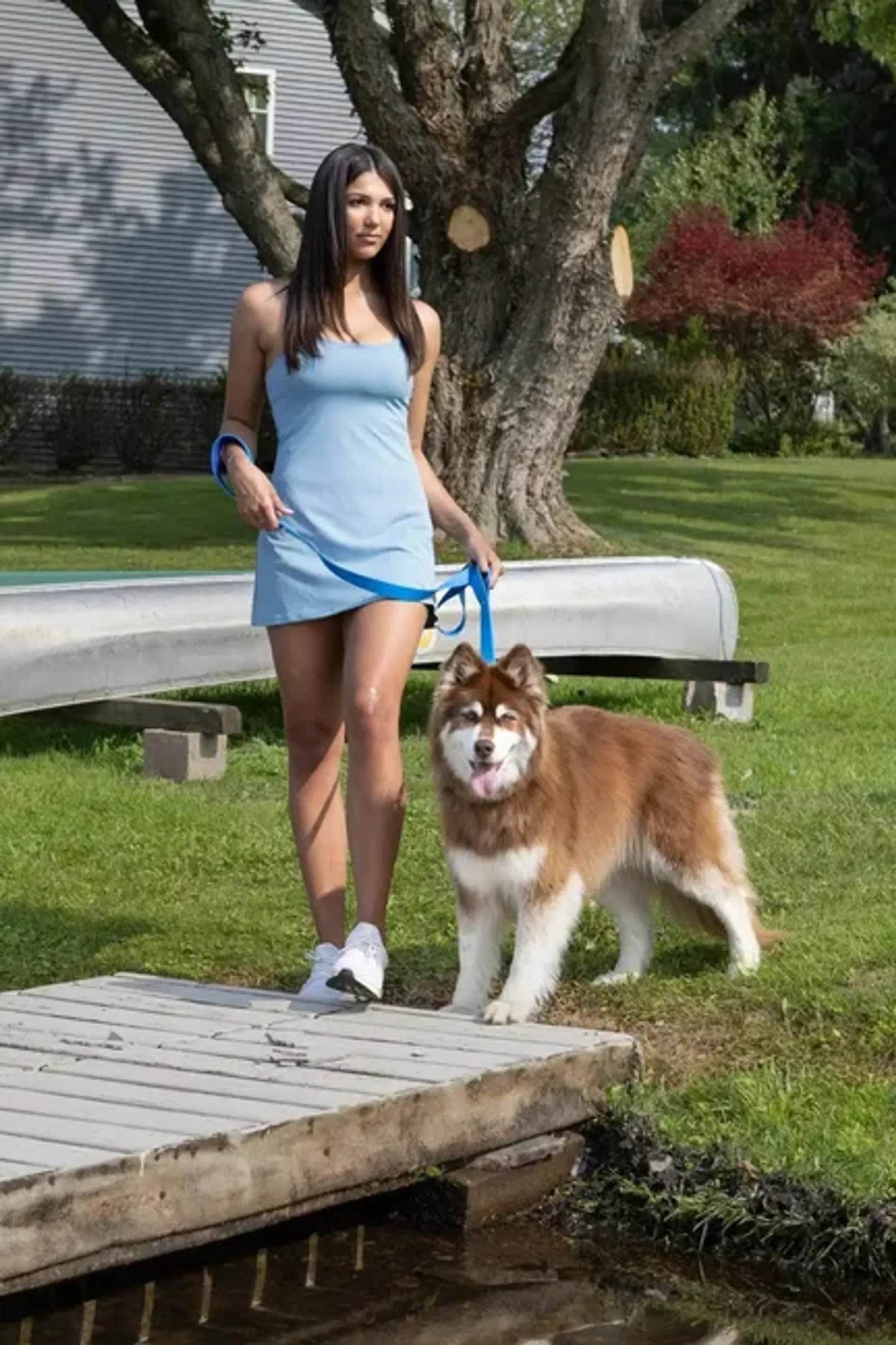 Dockside Adventures Waterproof Dog Collar - Beasty Lux