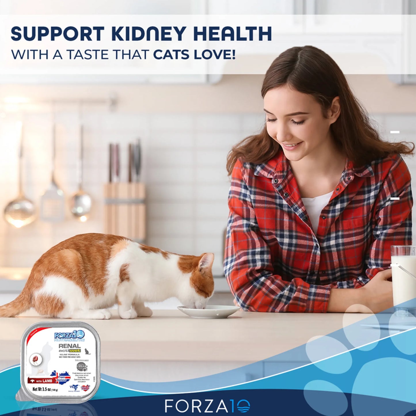 Forza10 Actiwet Renal Support Canned Cat Food