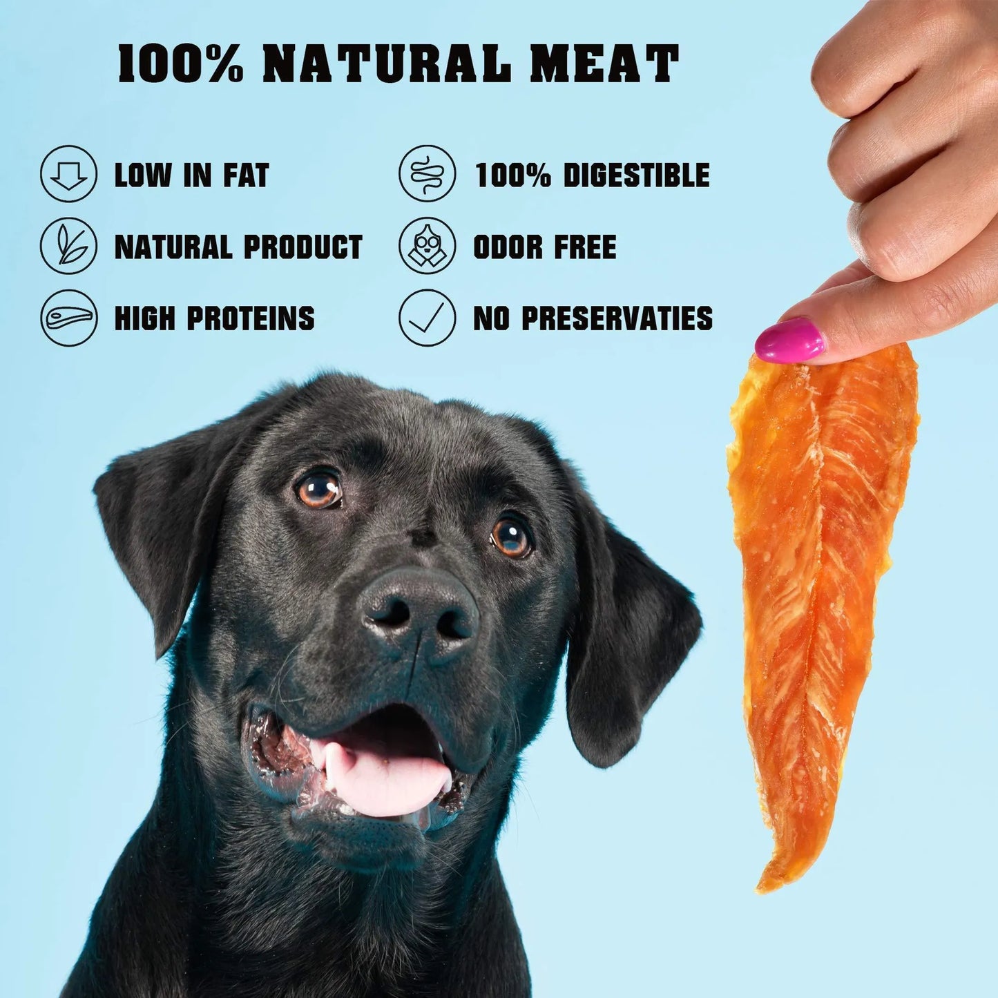Chicken Jerky Dog Treats 1.5 lb – Human-Grade, Grain-Free, All-Natural High-Protein Dried Strips for Dogs