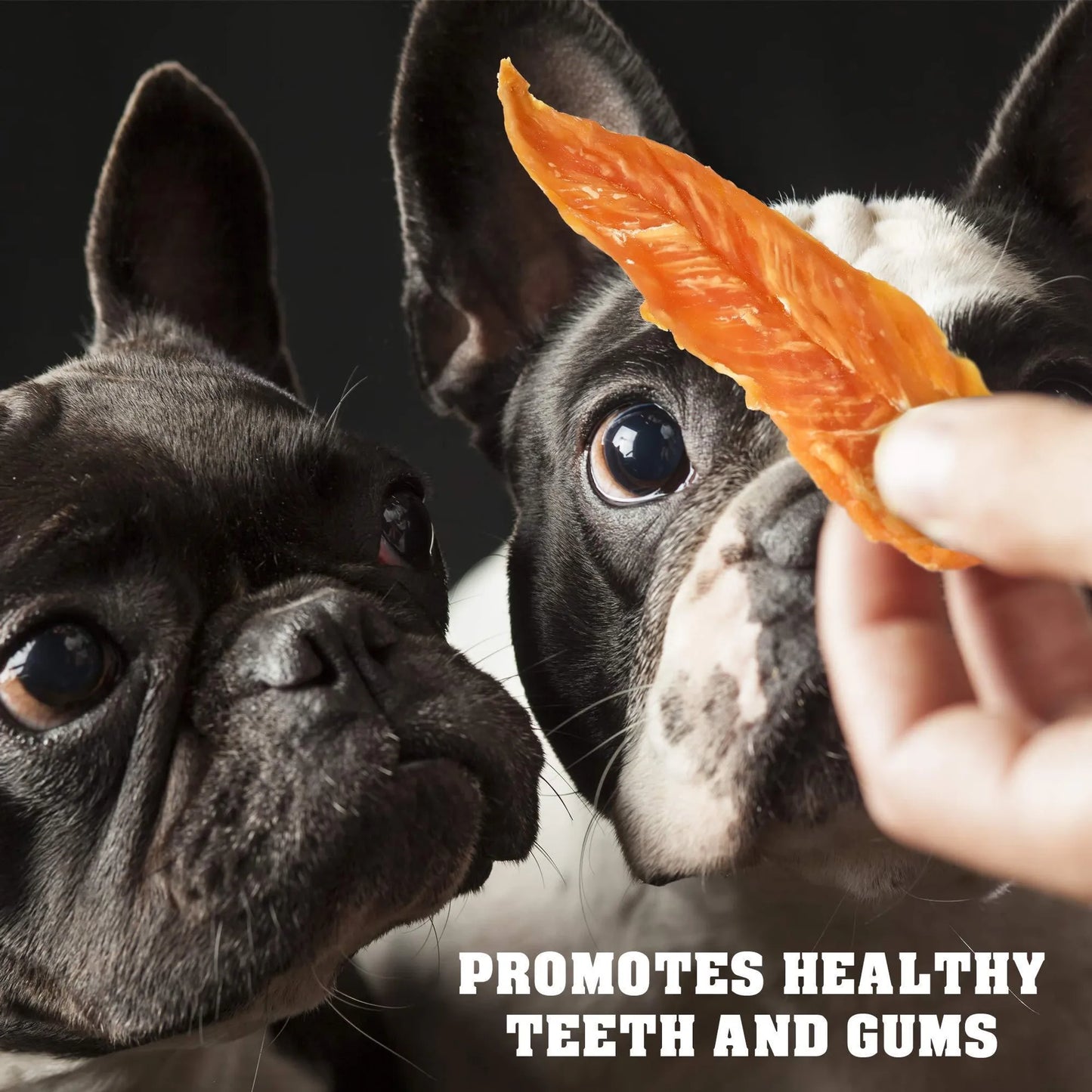 Chicken Jerky Dog Treats 1.5 lb – Human-Grade, Grain-Free, All-Natural High-Protein Dried Strips for Dogs
