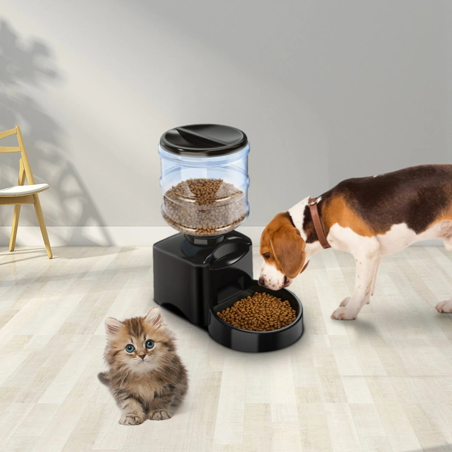5.5L Automatic Dog & Cat Food Dispenser