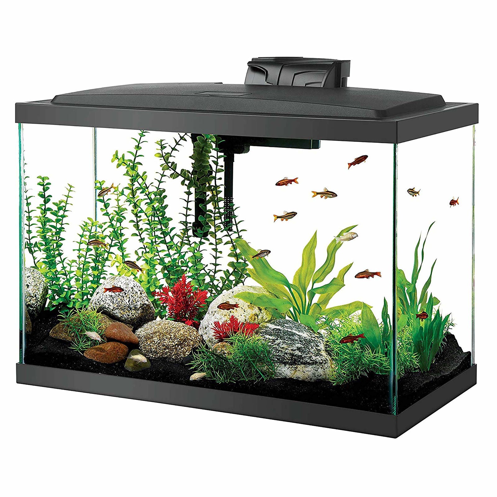 Beasty Lux Aqueon Aqueon Aquarium Fish Tank Starter Kits with LED Lighting