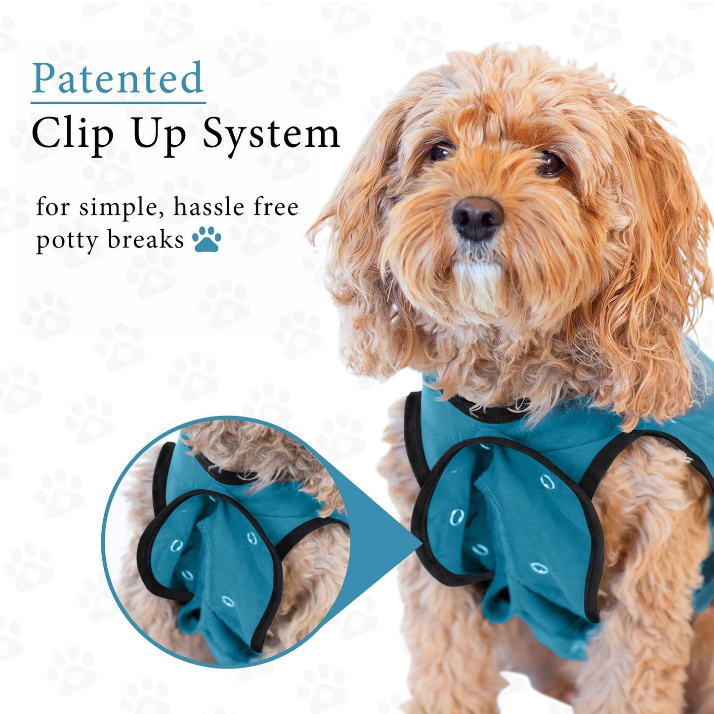 Beasty Lux BellyGuard BellyGuard - Dog Recovery Suit, Post Surgery Dog Onesie for Male and Female Dogs, Comfortable Cone Alternative for Large and Small Dogs, Soft Cotton Covers Wound, Stitches. Patented Easy Potty System.