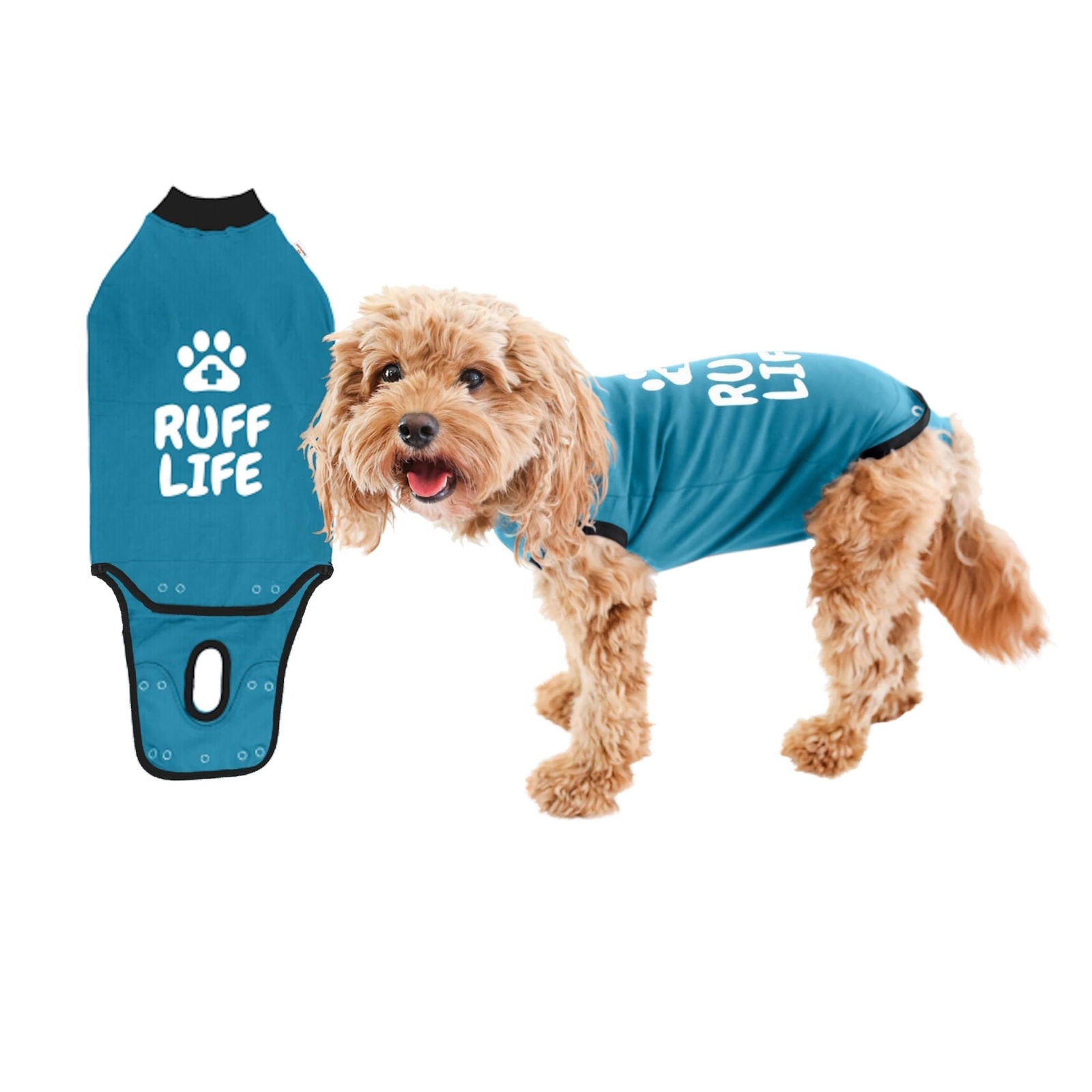 Beasty Lux BellyGuard BellyGuard - Dog Recovery Suit, Post Surgery Dog Onesie for Male and Female Dogs, Comfortable Cone Alternative for Large and Small Dogs, Soft Cotton Covers Wound, Stitches. Patented Easy Potty System.