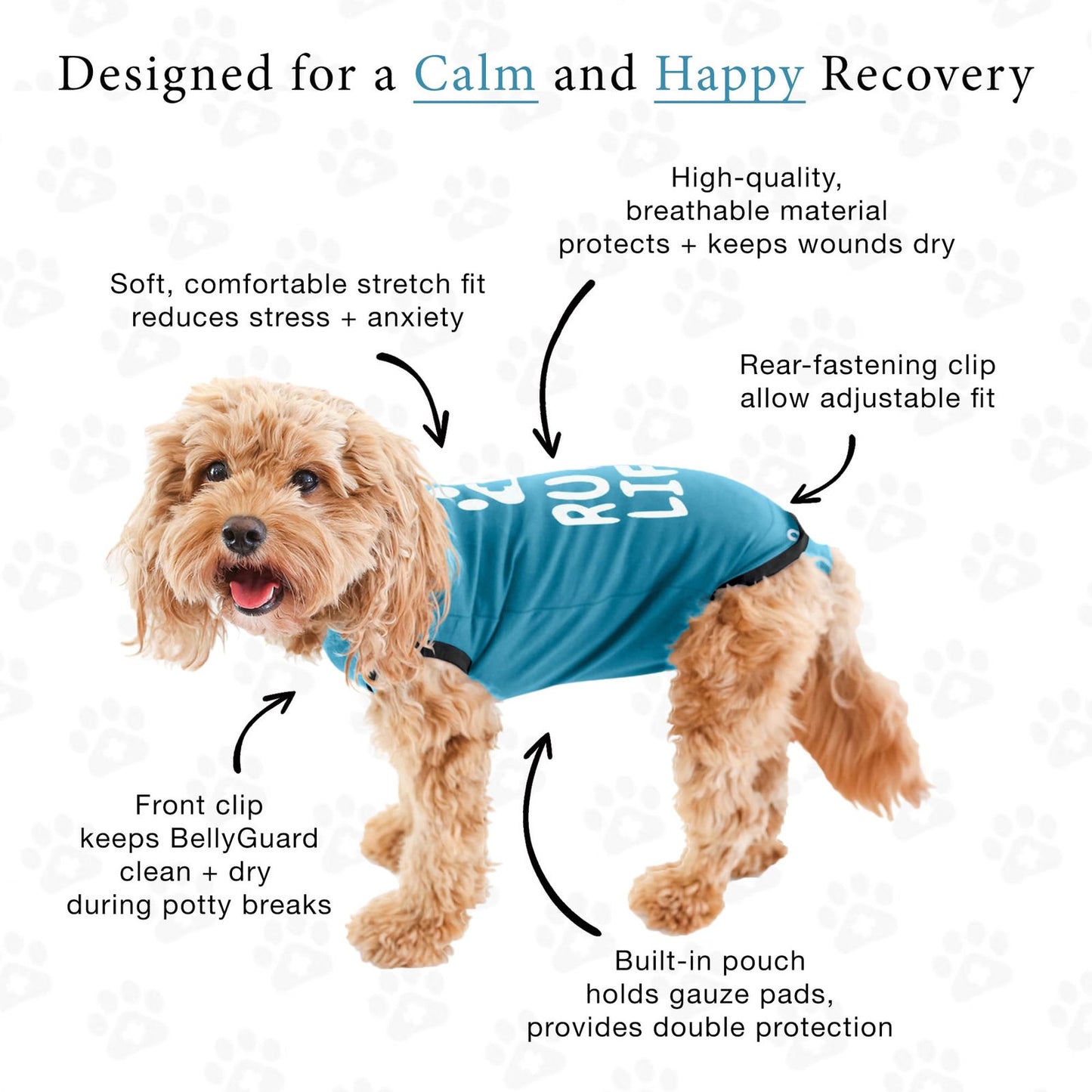 Beasty Lux BellyGuard BellyGuard - Dog Recovery Suit, Post Surgery Dog Onesie for Male and Female Dogs, Comfortable Cone Alternative for Large and Small Dogs, Soft Cotton Covers Wound, Stitches. Patented Easy Potty System.