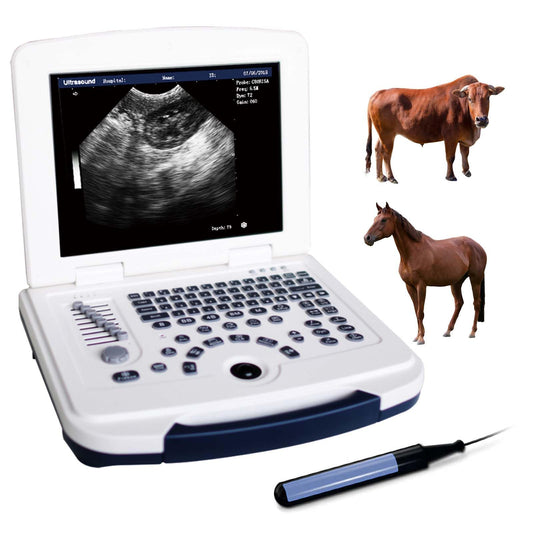 Beasty Lux DAWEI DAWEI Vet Ultrasound Machine Laptop Veterinary B-Ultra Sound Scanner with Rectal Probe for Ranch Pets Cattle,Sheep,Horses,Dogs,Cats,Pigs.