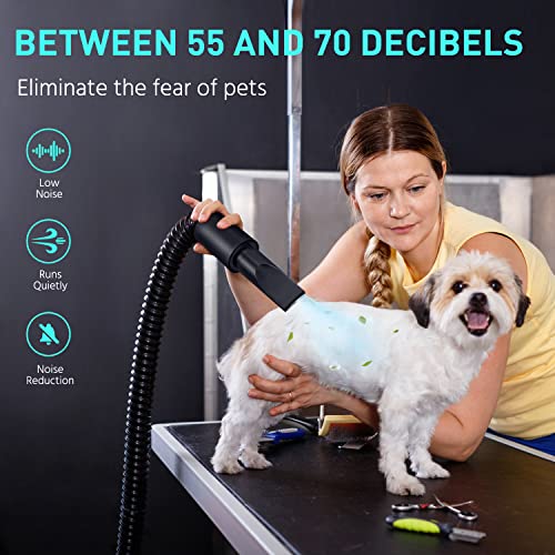 Beasty Lux DOPICT DOPICT Pet-Hair-Dryer, Dog Dryer with 5 Nozzle 5.2HP/3800W Pet Grooming Dryer with Adjustable Speed and Temperature Control Dog Blow Dryer