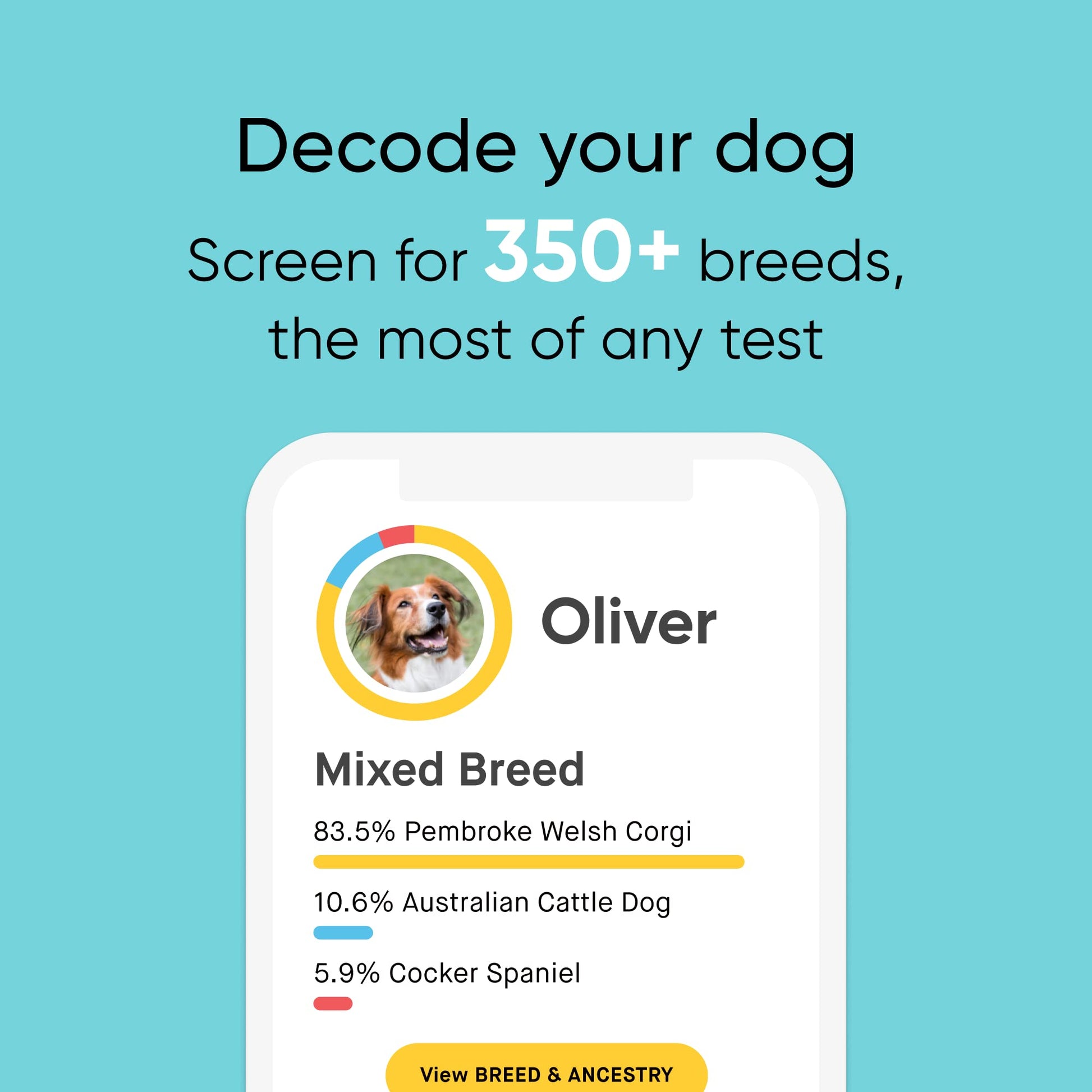 Beasty Lux Embark Embark Breed & Health Kit - Dog DNA Test - Discover Breed, Ancestry, Relative Finder, Genetic Health, Traits, COI