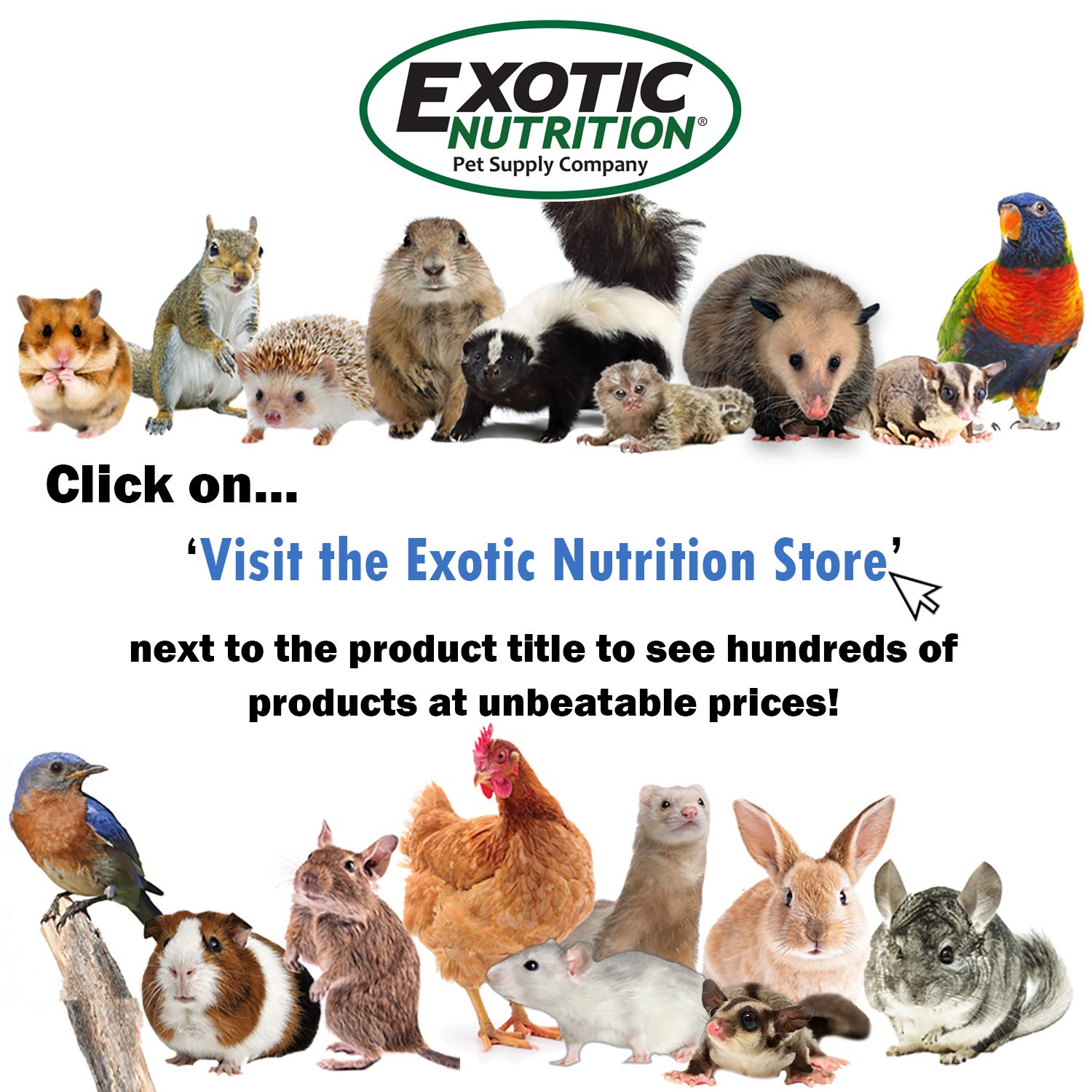 Beasty Lux Exotic Nutrition Exotic Nutrition Congo Cage - Durable 68" Tall Cage - for Sugar Gliders, Squirrels, Marmosets & Other Small Pets