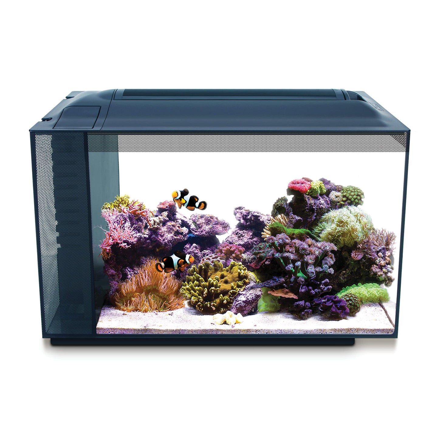 Beasty Lux Fluval Fluval Sea Evo XII Saltwater Fish Tank Aquarium Kit, Black, 13.5 gal, 10531A1, 13.5 Gallon