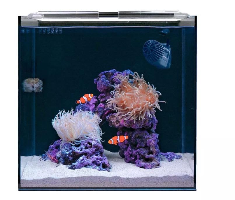 Beasty Lux HelloReef HelloReef Clownfish & Anemone Aquarium Kit