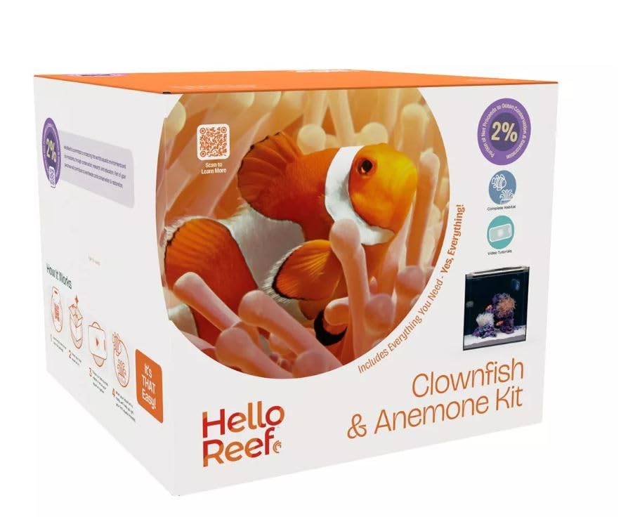 Beasty Lux HelloReef HelloReef Clownfish & Anemone Aquarium Kit