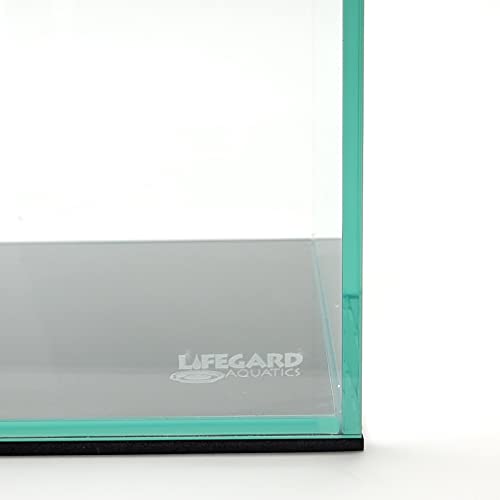 Beasty Lux LIFEGARD AQUATICS Lifegard Aquatics 16 Gallon Clear Glass Bookshelf Aquarium 6mm (33.85"x9.84"x11.02")