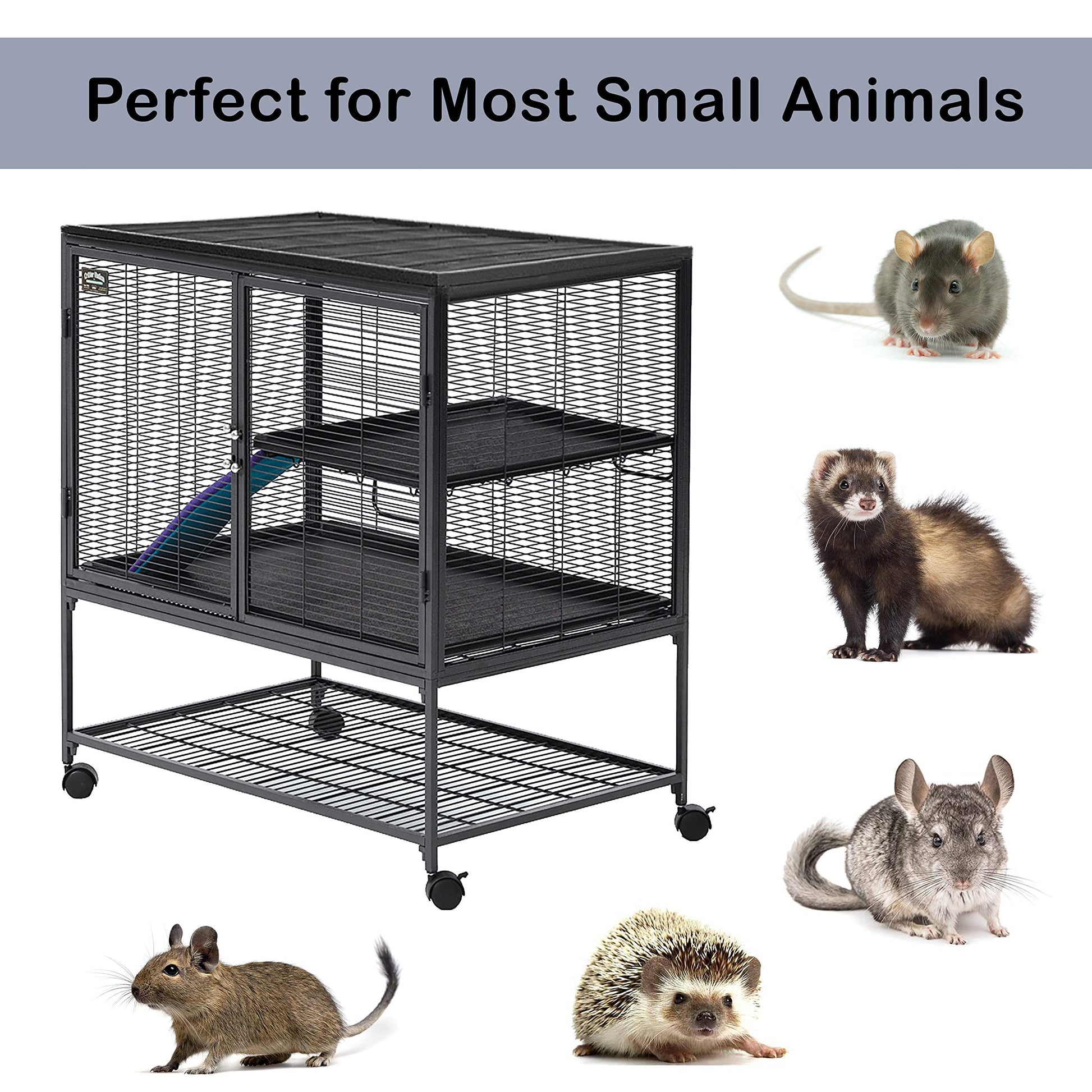 Beasty Lux MidWest Homes for Pets MidWest Deluxe Critter Nation Single Unit Small Animal Cage (Model 161) Includes 1 Leak-Proof Pans, 1 Shelf, 1 Ramps w/ Ramp Cover & 4 locking Wheel Casters, Measures 36"L x 25"W x 38.5"H Inches, Ideal for Dagus, Rats, Ferrets, Sugar Gliders