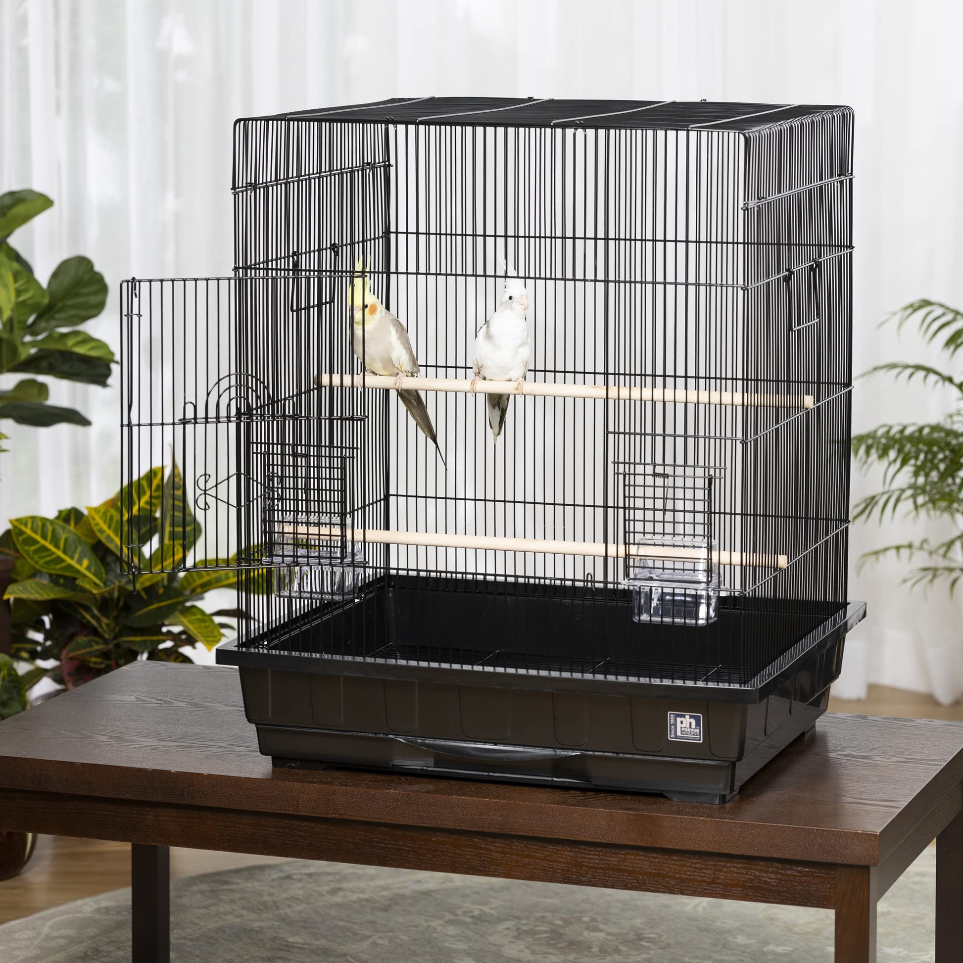 Beasty Lux PH Prevue Hendryx Prevue Pet Products Square Top Parakeet Cage, Black