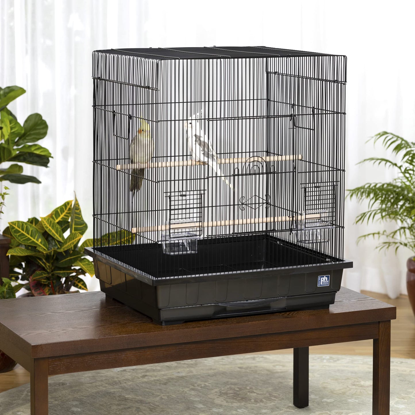 Beasty Lux PH Prevue Hendryx Prevue Pet Products Square Top Parakeet Cage, Black