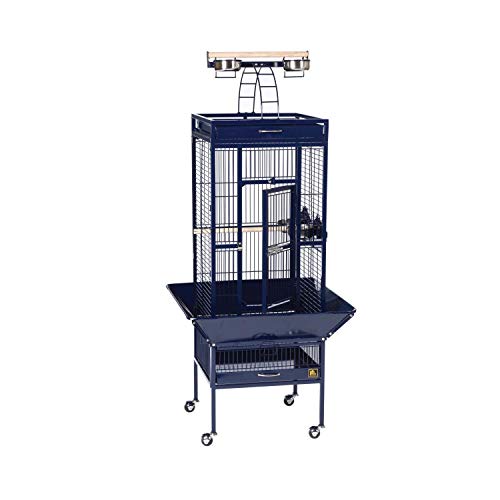 Beasty Lux PH Prevue Hendryx Prevue Pet Products Wrought Iron Select Bird Cage, 18-Inch by 18-Inch by 57-Inch, Cobalt Blue