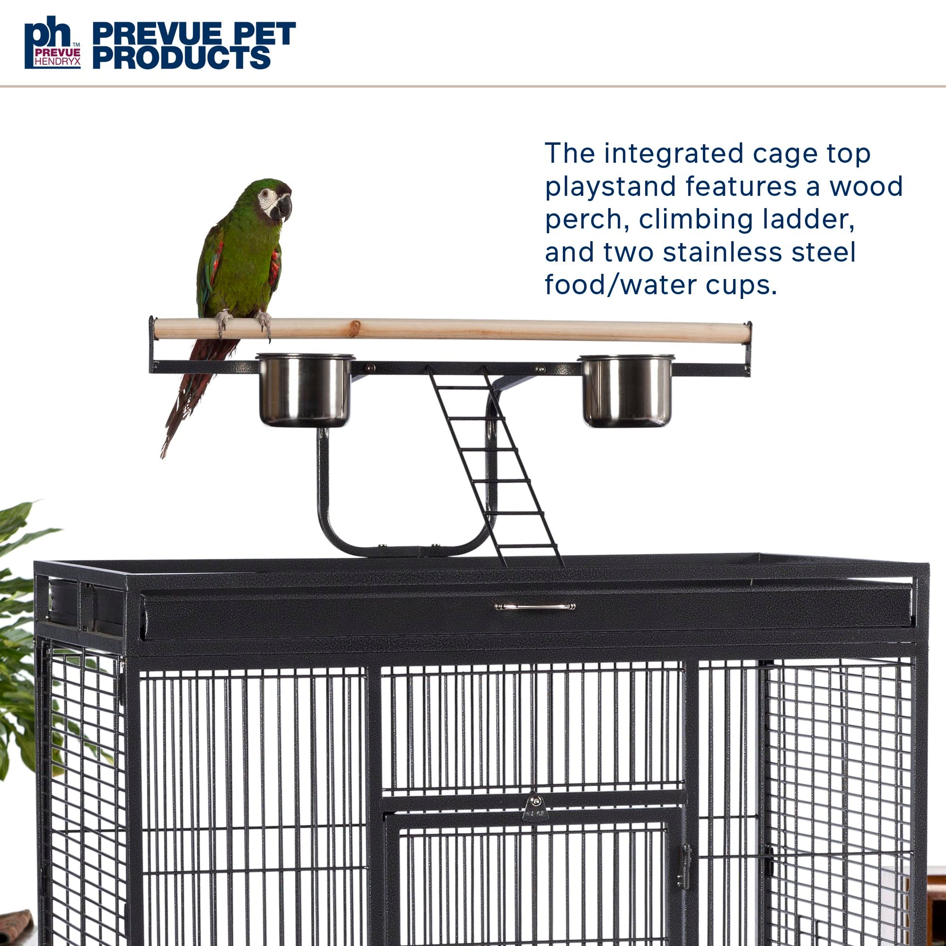 Beasty Lux PH Prevue Hendryx Prevue Pet Products Wrought Iron Select Bird Cage, 36-Inch by 24-Inch by 66-Inch, Black Hammertone (3154BLK)