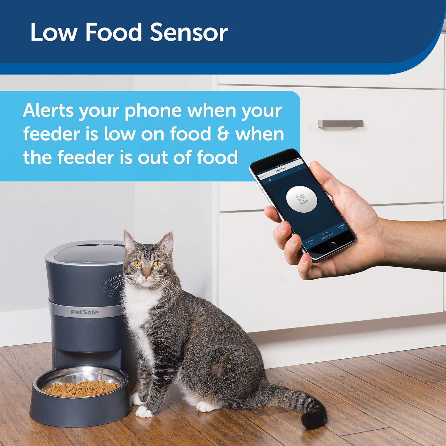 Beasty Lux Petsafe PetSafe Smart Feed Automatic Dog and Cat Feeder - 2nd Generation - 24-Cups - Wi-Fi Enabled App for iPhone and Android Smartphones - Compatible with Alexa, Black (PFD19-16861)