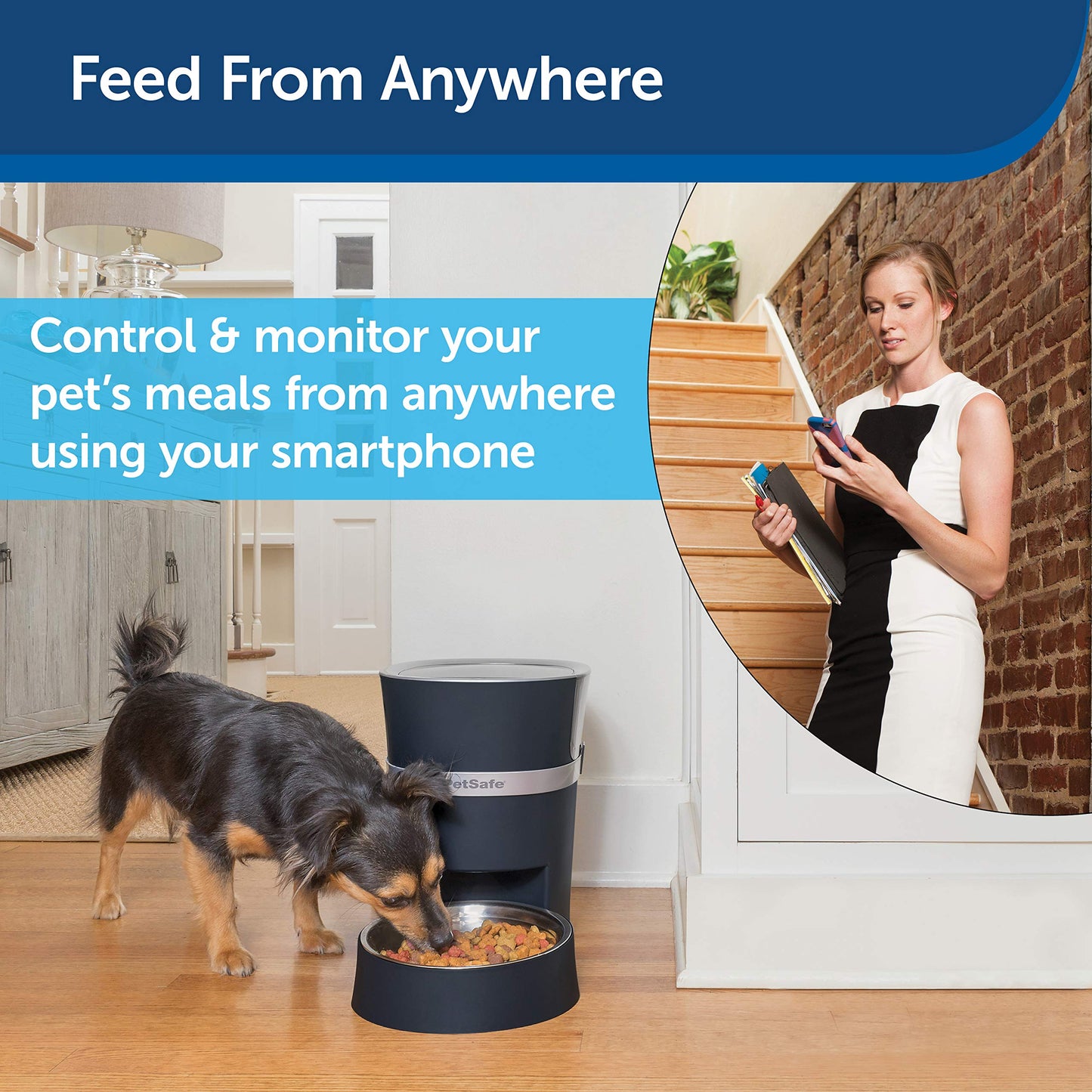 Beasty Lux Petsafe PetSafe Smart Feed Automatic Dog and Cat Feeder - 2nd Generation - 24-Cups - Wi-Fi Enabled App for iPhone and Android Smartphones - Compatible with Alexa, Black (PFD19-16861)