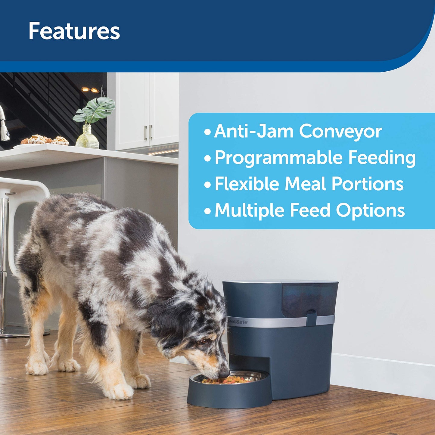 Beasty Lux Petsafe PetSafe Smart Feed Automatic Dog and Cat Feeder - 2nd Generation - 24-Cups - Wi-Fi Enabled App for iPhone and Android Smartphones - Compatible with Alexa, Black (PFD19-16861)