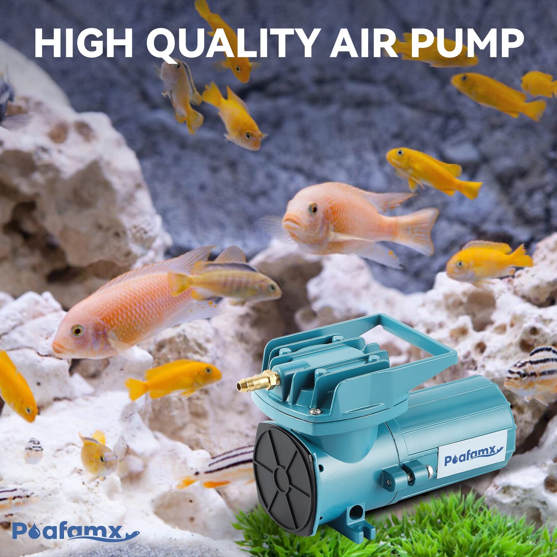 Beasty Lux Poafamx Poafamx DC 12V Aquarium Air Pump 120W Pond Aerator for Outdoor Pond 6 Outlets 30Gal/Min Quiet Fish Tank Air Pump Pond Air Pump with Car Cable Hydroponics Air Pump Commercial Oxygen Pump