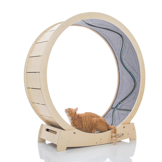 Beasty Lux STAR CATWHEEL Star Cat Wheel, Cat Treadmill, Exercise Wheel for Running, Spinning, Scratching, and Climbing for Indoor Cats, Premium Birch Wood, Eco-Friendly, Moving Fish, Wide Running Track (L 1060)