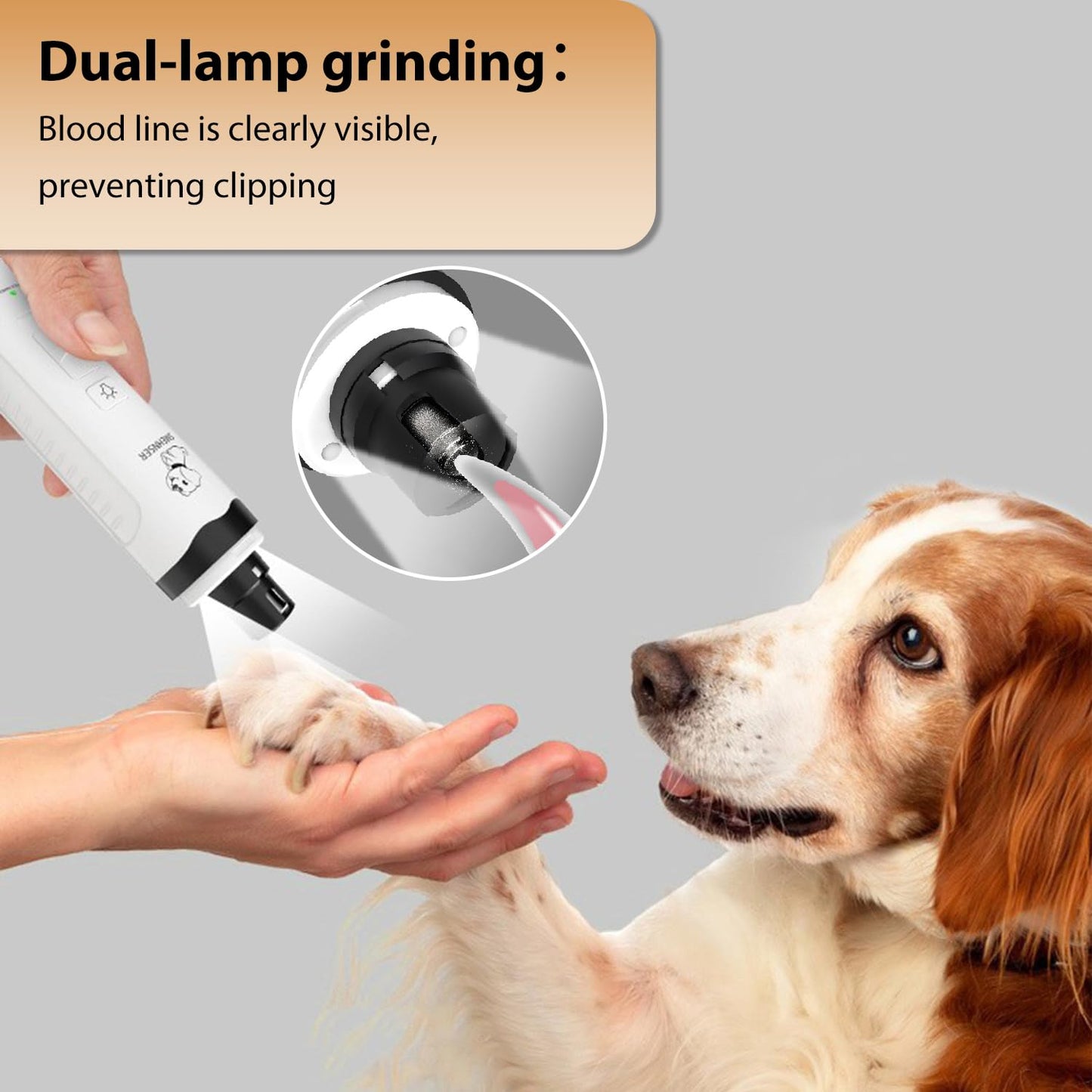 Beasty Lux Xonpees Dog Nail Grinder Kit - Complete with Nail Grinder and Trimmer. Ultra-Quiet and Rechargeable. Perfect for Nail Grooming of Small to Large Dogs and Cats. Features 2 speeds and 2 Grinding bits.