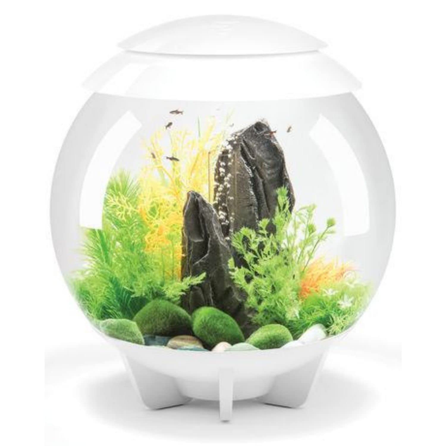 Beasty Lux biOrb biOrb Halo 30 Acrylic 8-Gallon Aquarium with Multi-Color Remote-Controlled LED Lights Modern Tank for Tabletop Display, White