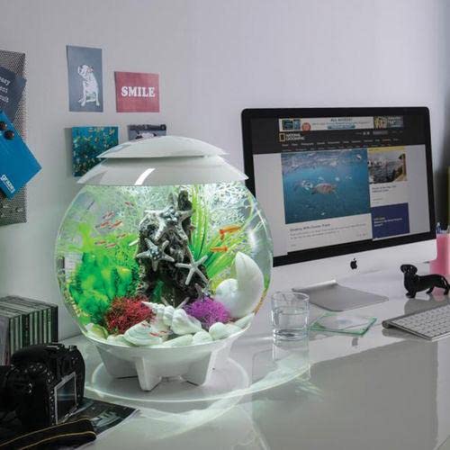 Beasty Lux biOrb biOrb Halo 30 Acrylic 8-Gallon Aquarium with Multi-Color Remote-Controlled LED Lights Modern Tank for Tabletop Display, White